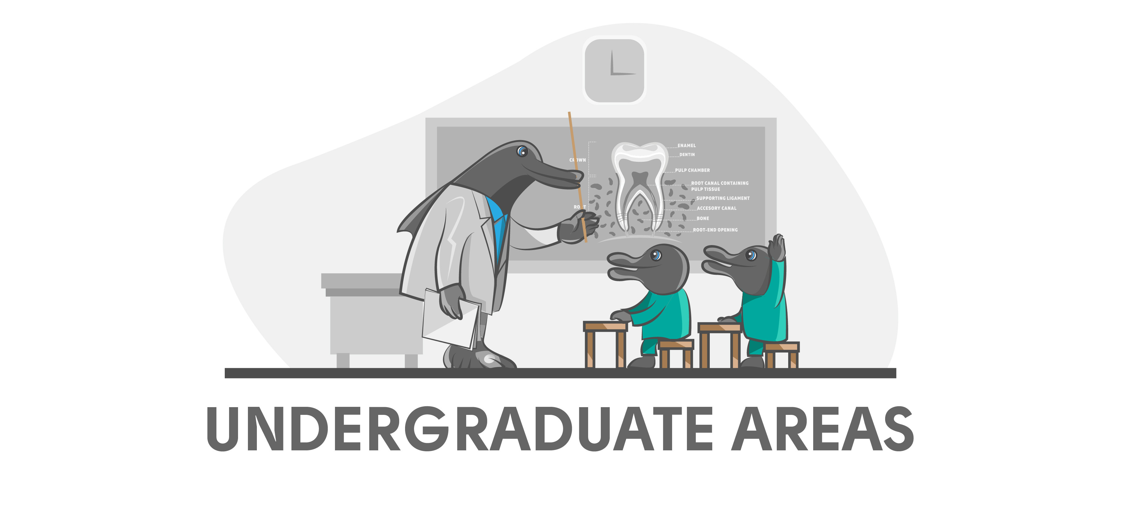 Undergraduate Areas